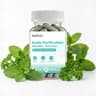 Chlorophyll Freshness Capsules - Chlorophyll Freshness Capsules