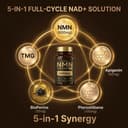 5-in-1 NMN Resveratrol Capsules - 5-in-1 NMN Resveratrol Capsules image 2